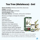 Óleo Essencial de Melaleuca (Tea Tree) – 5ml | Purificação e Equilíbrio
