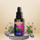 Kit Básico para Emagrecimento – Canteiro de Ervas 🌿🔥