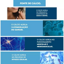 Bio Cálcio Puravida 60 Cápsulas