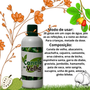 Canela de Velho em Gotas 100ml