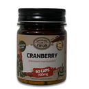 Cranberry – Canteiro de Ervas – 60 Cápsulas