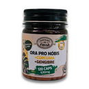 Ora pro nóbis + cúrcuma + gengibre - canteiro de ervas