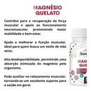 Magnésio Quelato – Alta Absorção e Biodisponibilidade