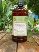 Garrafada Energética Canteiro de Ervas – Tradição e Saúde
