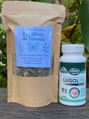 Combo Equilíbrio da Tireoide – Canteiro de Ervas