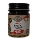 Probiotic Canteiro de Ervas - 10 Tipos de Organismos Probióticos - 60 Cápsulas