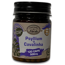 Psyllium + Cavalinha – 120 Cápsulas | Canteiro de Ervas 🌿