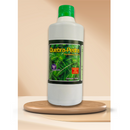 Garrafada Quebra-Pedras - Canteiro de ervas