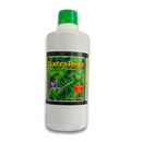 Garrafada Quebra-Pedras - Canteiro de ervas