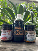 Kit Controle Glicêmico Premium – Regule a Diabetes com Força Natural