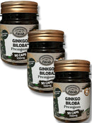 Ginkgo Biloba – Canteiro de Ervas – 60 Cápsulas