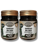 Ginkgo Biloba – Canteiro de Ervas – 60 Cápsulas