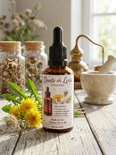 Tintura de Dente-de-Leão – 50ml