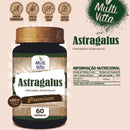 Astragalus Premium – 60 cápsulas (700mg por dose)