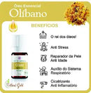 Óleo Essencial de Olíbano – 5ml