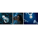 Melatonina em Gotas Sabor Maracujá 20ml - Puravida