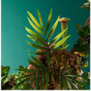 Evasion Exotico n° 4 Victorio & Lucchino EDT Masculino - VICTORIO E LUCHINO