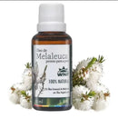 Óleo de Melaleuca WNF – Pronto para a Pele | 100% Natural | 30ml