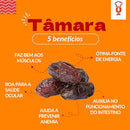 Tâmara 100g – Canteiro de Ervas