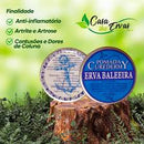 Pomada Erva Baleeira – Alívio e Conforto Muscular Natural