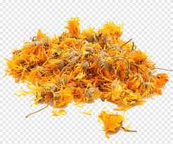Calêndula Flor Desidratada 250g – Canteiro de Ervas