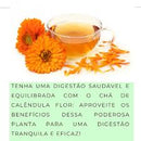 Calêndula Flor Desidratada 250g – Canteiro de Ervas