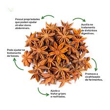 Anis Estrelado Desidratado 250g – Canteiro de Ervas
