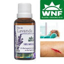 Óleo de Lavanda WNF – Pronto para a Pele | 100% Natural | 30ml