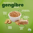 Gengibre em Pó 250g – Canteiro de Ervas