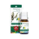 Óleo Essencial de Melaleuca (Tea Tree) – 5ml | Purificação e Equilíbrio